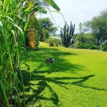 VHUNGU VHUNGU  (DEVINE ANGEL) - @devine_guesthouse - Instagram