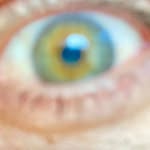Devin Guill - @itsme4free - Instagram
