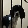 Devin Guthrie466 - @devinguthrie1 - TikTok