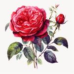 Devin Guthrie - @wonderloveproject - Instagram