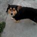 Devin Hahn - Facebook