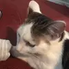 Devin Hamm - @devin.hamm7 - TikTok