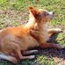 Devin Hamrick - Facebook