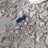 Devin Hamrick - @devinhamrick183 - TikTok