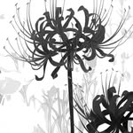 Devin Chance - @devinchance6 - Instagram