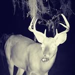 Devin Handy - @devinhandy14 - Instagram