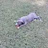 Devin Hanks - @devinkhanks - TikTok
