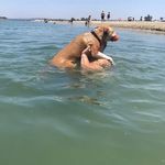 Devin Hanley - @dhanley2901 - Instagram