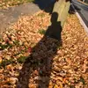 Devin Harlow - @.devinharlow - TikTok