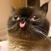 devinharlow - @devinharlow - TikTok