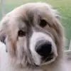 Devin Harper - @devin._.harper - TikTok