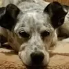 debiheisner - @debiheisner - TikTok
