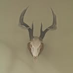 Devin Helms - Facebook