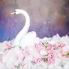Hermann Devin - @hermann.devin - TikTok