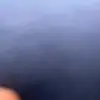 Devin Hoskins - @devin.hoskins - TikTok