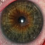 Devin hughes - @_devi_n_h - Instagram