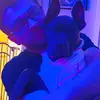 Devyn Hughes - @devynhughes - TikTok