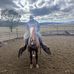 Devin Hurst - Facebook