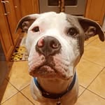 Devin Jackson - @devinjackson863 - Instagram
