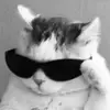 🎸D3V🎸 - @devin.jones853 - TikTok
