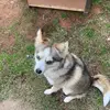 devin.jordan - @devin.jordan16 - TikTok