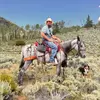 devanlindgren - @devanlindgren - TikTok