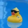 Devin - @.devinlangdon - TikTok