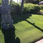 Devin Larkins - @larkinsdevin - Instagram