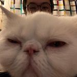 D L - @devin.leung - Instagram