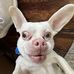 Devin Ludwig - Facebook