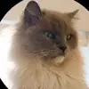 devin macdonald56 - @devin.macdonald56 - TikTok