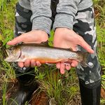 Devin Macdonald - @devinmacdonald7048 - Instagram