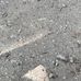 Devin Mack - Facebook