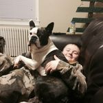 Devin Marks - @devins_vlog - Instagram