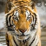 Devinmarks - @devinmarks44 - Instagram