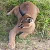 Devin Marshall - @devin.marshall14 - TikTok