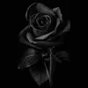 Devin_McDaniel02 - @devinjmac02 - TikTok