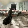 Devin M - @devin_mcdonald - TikTok