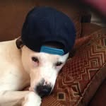 Devin Mcfarland - @mcfarlanddevin - Instagram