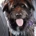 Devin McGuire - Facebook