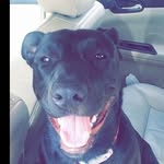 devin Morrison - @devinmorrison979 - Instagram