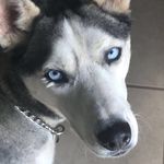Devin Newby - @devin_newby - Instagram