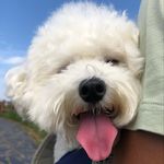 @devin.ngx - Instagram
