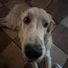 Devin - @devinolivas14 - TikTok