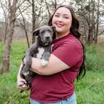 Devin’s Dog Pack 🐾 Austin, TX - @devinsdogpack - Instagram