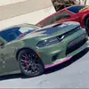 devinshannon34 - @devin_scatpack - TikTok