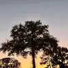 Addie - @devinpatton24 - TikTok