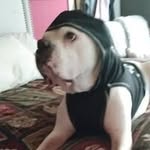 Devin Pelletier - @guest129100 - Instagram
