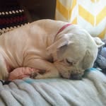 Devin Pelletier - @tanyalaury505 - Instagram