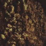 Devin Pelletier - @dpelletier732 - Instagram